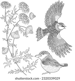 Art therapy coloring page. Coloring book antistress for children and adults. Birds and flowers hand drawn in vintage style . Ideal for those who want to feel more connected to nature.

