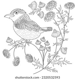 Art therapy coloring page. Coloring book antistress for children and adults. Birds and flowers hand drawn in vintage style . Ideal for those who want to feel more connected to nature.
