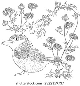 Art therapy coloring page. Coloring book antistress for children and adults. Birds and flowers hand drawn in vintage style . Ideal for those who want to feel more connected to nature.
