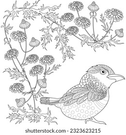 Art therapy coloring page. Coloring book antistress for children and adults. Birds and flowers hand drawn in vintage style . Ideal for those who want to feel more connected to nature.
