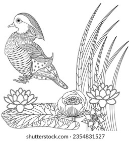 Art therapy coloring page. Coloring Book for adults and children. Colouring pictures with mandarin duck. Linear engraved art. Antistress freehand sketch drawing.