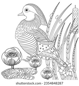 Art therapy coloring page. Coloring Book for adults and children. Colouring pictures with mandarin duck. Linear engraved art. Antistress freehand sketch drawing.