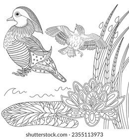 Art therapy coloring page. Coloring Book for adults and children. Colouring pictures with mandarin duck. Linear engraved art. Antistress freehand sketch drawing.