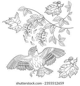 Art therapy coloring page. Coloring book antistress for children and adults. Birds and flowers hand drawn in vintage style . Ideal for those who want to feel more connected to nature.
