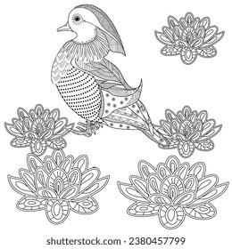 Art therapy coloring page. Coloring Book for adults and children. Colouring pictures with duck. Linear engraved art. Antistress freehand sketch drawing.

