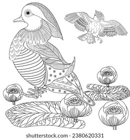 Art therapy coloring page. Coloring Book for adults and children. Colouring pictures with duck. Linear engraved art. Antistress freehand sketch drawing.
