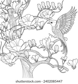 Art therapy coloring page. Coloring book antistress for children and adults. Birds and flowers hand drawn in vintage style . Ideal for those who want to feel more connected to nature.
