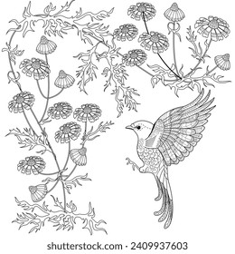 Art therapy coloring page. Coloring book antistress for children and adults. Birds and Flowers Daisies hand drawn in vintage style . Ideal for those who want to feel more connected to nature.
