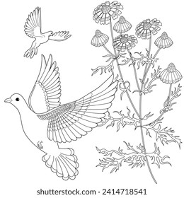 Art therapy coloring page. Coloring book antistress for children and adults. Birds and Flowers Daisies hand drawn in vintage style . Ideal for those who want to feel more connected to nature.
