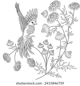 Art therapy coloring page. Coloring book antistress for children and adults. Birds and Flowers Daisies hand drawn in vintage style . Ideal for those who want to feel more connected to nature.
