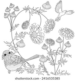 Art therapy coloring page. Coloring book antistress for children and adults. Birds and Flowers Daisies hand drawn in vintage style . Ideal for those who want to feel more connected to nature.