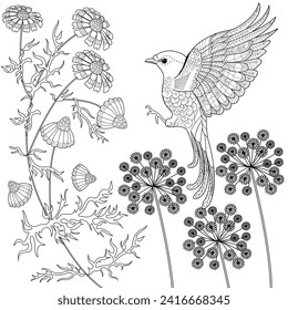 Art therapy coloring page. Coloring book antistress for children and adults. Birds and Flowers Daisies hand drawn in vintage style . Ideal for those who want to feel more connected to nature.
