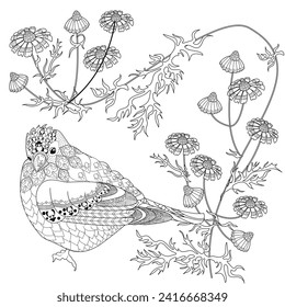 Art therapy coloring page. Coloring book antistress for children and adults. Birds and Flowers Daisies hand drawn in vintage style . Ideal for those who want to feel more connected to nature.
