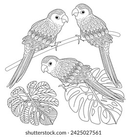 Art therapy coloring page. Coloring book antistress for children and adults. Birds  hand drawn in vintage style . Ideal for those who want to feel more connected to nature.
