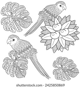 Art therapy coloring page. Coloring book antistress for children and adults. Birds  hand drawn in vintage style . Ideal for those who want to feel more connected to nature.
