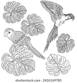 Art therapy coloring page. Coloring book antistress for children and adults. Birds  hand drawn in vintage style . Ideal for those who want to feel more connected to nature.
