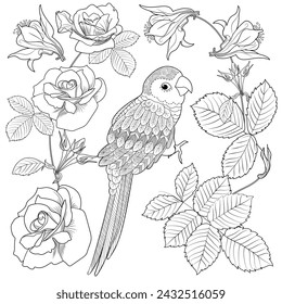 Art therapy coloring page. Coloring book antistress for children and adults. Birds and flowers hand drawn in vintage style . Ideal for those who want to feel more connected to nature.
