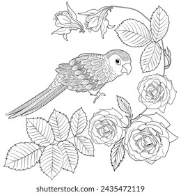 Art therapy coloring page. Coloring book antistress for children and adults. Birds and flowers hand drawn in vintage style . Ideal for those who want to feel more connected to nature.
