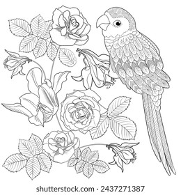 Art therapy coloring page. Coloring book antistress for children and adults. Birds and flowers hand drawn in vintage style . Ideal for those who want to feel more connected to nature.
