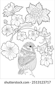 Página de coloração da arte-terapia. Livro de colorir antistress para crianças e adultos. Pássaros e flores Daisies mão desenhada em estilo vintage . Ideal para quem quer se sentir mais ligado à natureza.
