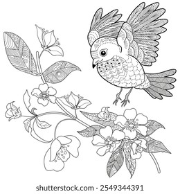 Dibujo para colorear de terapia artística. Libro para colorear antiestrés para niños y adultos. Pájaros y flores dibujados a mano en estilo vintage. Ideal para aquellos que quieren sentirse más conectados con la naturaleza.
