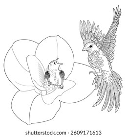 Art therapy coloring page. Coloring book antistress for children and adults. Birds and magnolia flowers. Ideal for those who want to feel more connected to nature.
