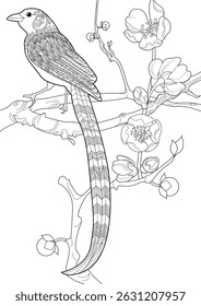 Art therapy coloring page. Coloring book antistress for children and adults. Birds and a blossoming plum tree. Ideal for those who want to feel more connected to nature.