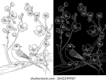 Art therapy coloring page. Coloring book antistress for children and adults. Birds and a blossoming plum tree. Ideal for those who want to feel more connected to nature.
