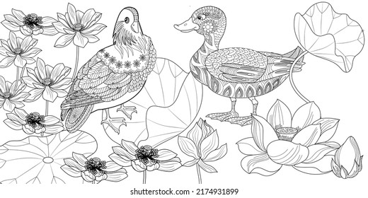 Art therapy coloring page. Colouring pictures for adults and children. Linear vector drawing from the Birds and Flowers series. Antistress freehand sketch drawing 