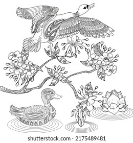 Página de coloreo de la terapia artística. Colores de fotos para adultos y niños. Vector lineal de la serie Aves y Flores. Dibujo de boceto a mano alzada antiestrés 