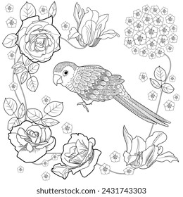 Art therapy coloring page. Colouring pictures for adults and children. Linear vector drawing from the Birds and Flowers series. Antistress freehand sketch drawing.
