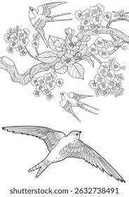 Art therapy coloring page. Colouring pictures with flowers and swallows. The contour drawing can be easily colored with colored pencils and create a bright postcard.