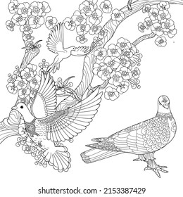 Art therapy coloring page. Dove in vintage style with blossoming cherry branches. Linear engraving art. Romantic concept.
