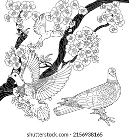 Art therapy coloring page. Dove in vintage style with blossoming cherry branches. Linear engraving art. Romantic concept.

