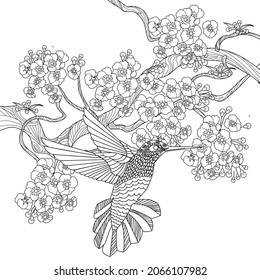 Art therapy coloring page. Hummingbird in vintage style with blossoming cherry branches. Linear engraving art. Romantic concept.