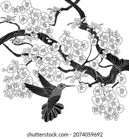 Art therapy coloring page. Hummingbird in vintage style with blossoming cherry branches. Linear engraving art. Romantic concept.