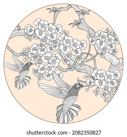 Art therapy coloring page. Hummingbird in vintage style with blossoming cherry branches. Linear engraving art. Romantic concept