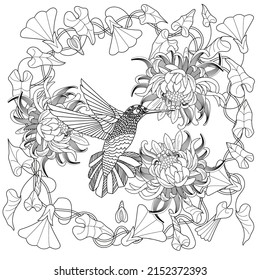 Art therapy coloring page. Hummingbird in vintage style with blossoming cherry branches. Linear engraving art. Romantic concept.
