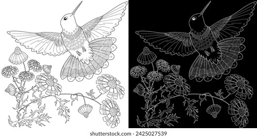 Art therapy coloring page. Hummingbird with daisies hand drawn in vintage style. Linear engraving art. Romantic concept.