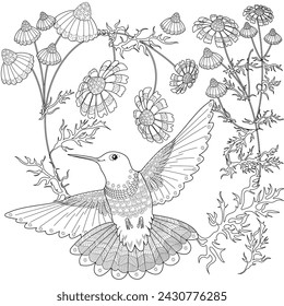 Art therapy coloring page. Hummingbird with daisies hand drawn in vintage style. Linear engraving art. Romantic concept.
