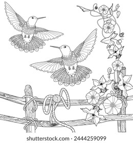 Art therapy coloring page. Hummingbird  with flowers in vintage style. Linear engraving art. Romantic concept.
