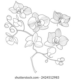 Página para colorear de terapia artística. Imagen lineal de flores. Las imágenes son perfectas para crear tarjetas, pegatinas, fondos de pantalla y otros proyectos.
