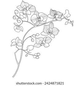 Art therapy coloring page. Linear image of flowers. The pictures are perfect for creating cards, stickers, wallpapers and other projects.
