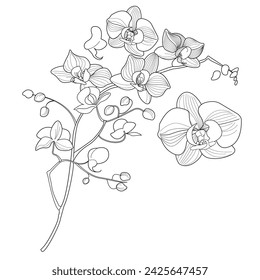 Art therapy coloring page. Linear image of flowers. The pictures are perfect for creating cards, stickers, wallpapers and other projects.
