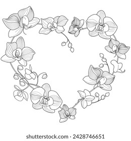 Art therapy coloring page. Linear image of orchid flowers. The pictures are perfect for creating cards, stickers, wallpapers and other projects.