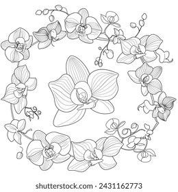 Art therapy coloring page. Linear image of orchid flowers. The pictures are perfect for creating cards, stickers, wallpapers and other projects.
