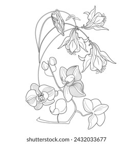 Malseite für Kunsttherapie. Lineares Bild von Orchideenblumen. Die Bilder eignen sich hervorragend zum Erstellen von Karten, Aufklebern, Tapeten und anderen Projekten.
