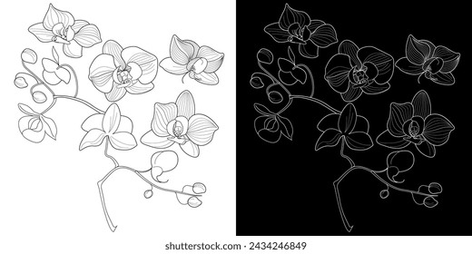 Art therapy coloring page. Linear image of orchid flowers. The pictures are perfect for creating cards, stickers, wallpapers and other projects.
