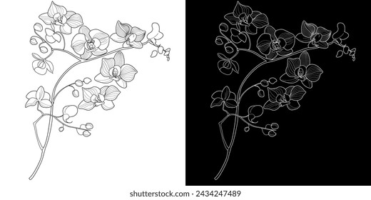 Página para colorear de terapia artística. Imagen lineal de flores de orquídea. Las imágenes son perfectas para crear tarjetas, pegatinas, fondos de pantalla y otros proyectos.
