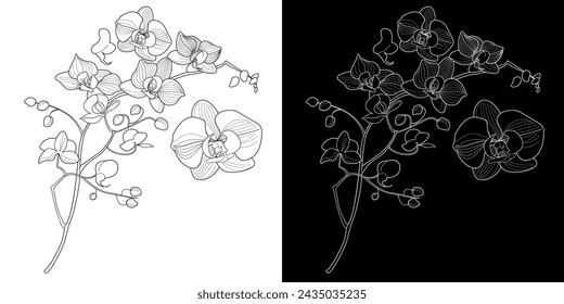 Art therapy coloring page. Linear image of orchid flowers. The pictures are perfect for creating cards, stickers, wallpapers and other projects.
